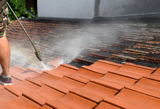 Best Concrete Pressure Washing  in Saline, MI