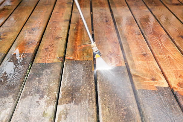 Best Affordable Pressure Washing  in Saline, MI
