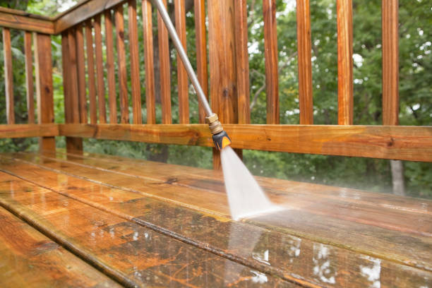 Best House Pressure Washing  in Saline, MI