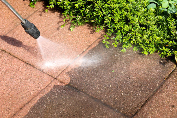 Deck Cleaning Services in Saline, MI